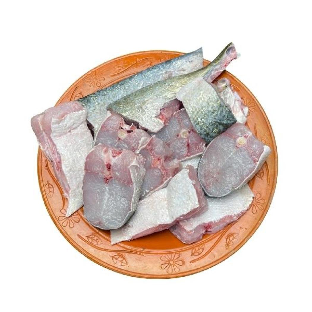 চিতল মাছ